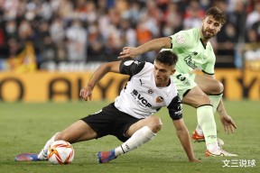 网页版登录入口-主角重生到火影练体术